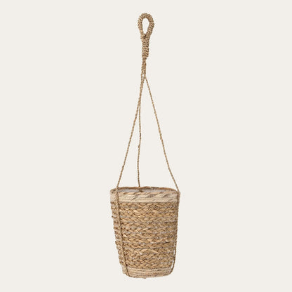 Daven Flowerpot, Hanging, Nature, Cane