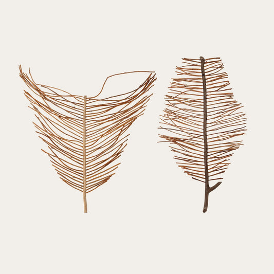 Enok Wall Decor, Brown, Blechnaceae